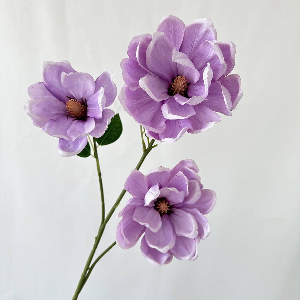 보라색