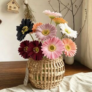 ���޾շ��滨 ��ɫϵ �ߙn���ʾ� �Ҿӻ�c�zӰ�b廨���� �nʽ