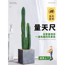 ��������������Կ͏d���;Gֲ�W�t�����ƶ������ֲ���҃Ⱥ��B��