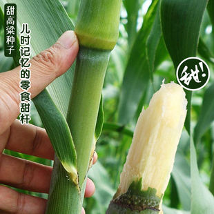 ������U�N�Ӵ����＾�������֭ˮ����������ѱ�����U����N��