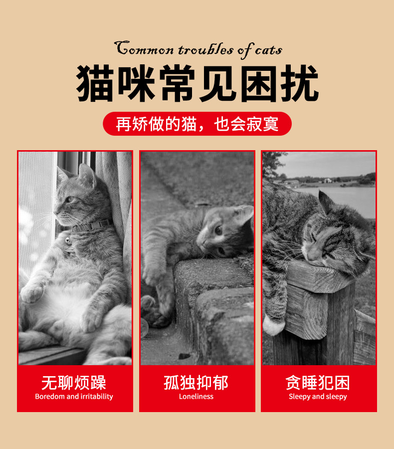 逗猫激光笔