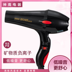 ドライヤーマイナスイオン速乾家庭用寮学生恒温ヘアケア冷熱ドライヤーメーカー直販