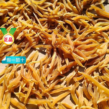 �����ș���춬 ��Ƥ�춬 �o���춬 ���춬 ���T���춬�ݾ�