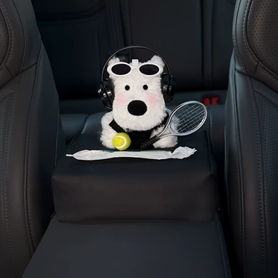 Tissue Box, Car Interior Armrest | Car tissue box/set