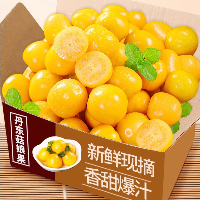 优普吉林菇娘果新鲜水果灯笼果包邮应当季水果姑娘果一件代发