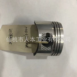 活塞/活塞环