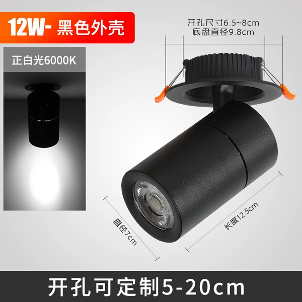 12W black shell-positive white light (embedded)