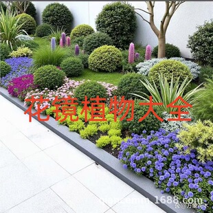 ���Rֲ������������ŮؑͥԺ�e���ļ����G�͟��ͺ����ݵر����ܾG