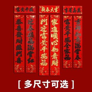 2026�R����y���괺�����������F�T�^�겼�ø����T�N�b���Ʒ