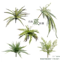 ��ɭϵͥԺ�ֲ̨������b��Ų�˹ާ�����X�~�����Ծ��b�