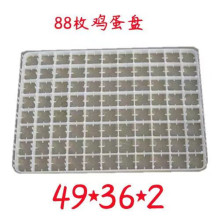 �����C���ϱP �бP �u���Z�����g�����P �Sɫ���D�� ���r ���r��