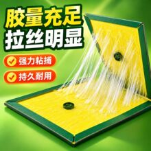 强力粘捕老鼠贴花园户外高胶量拉丝捕鼠板加厚耐用强力粘鼠板