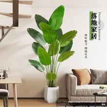 ����Gֲ��ֲ�����˽��쾰�b��҃����Է��������B��ؿ͏d�[����