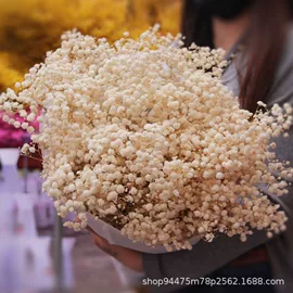 干花;永生花;仿真花