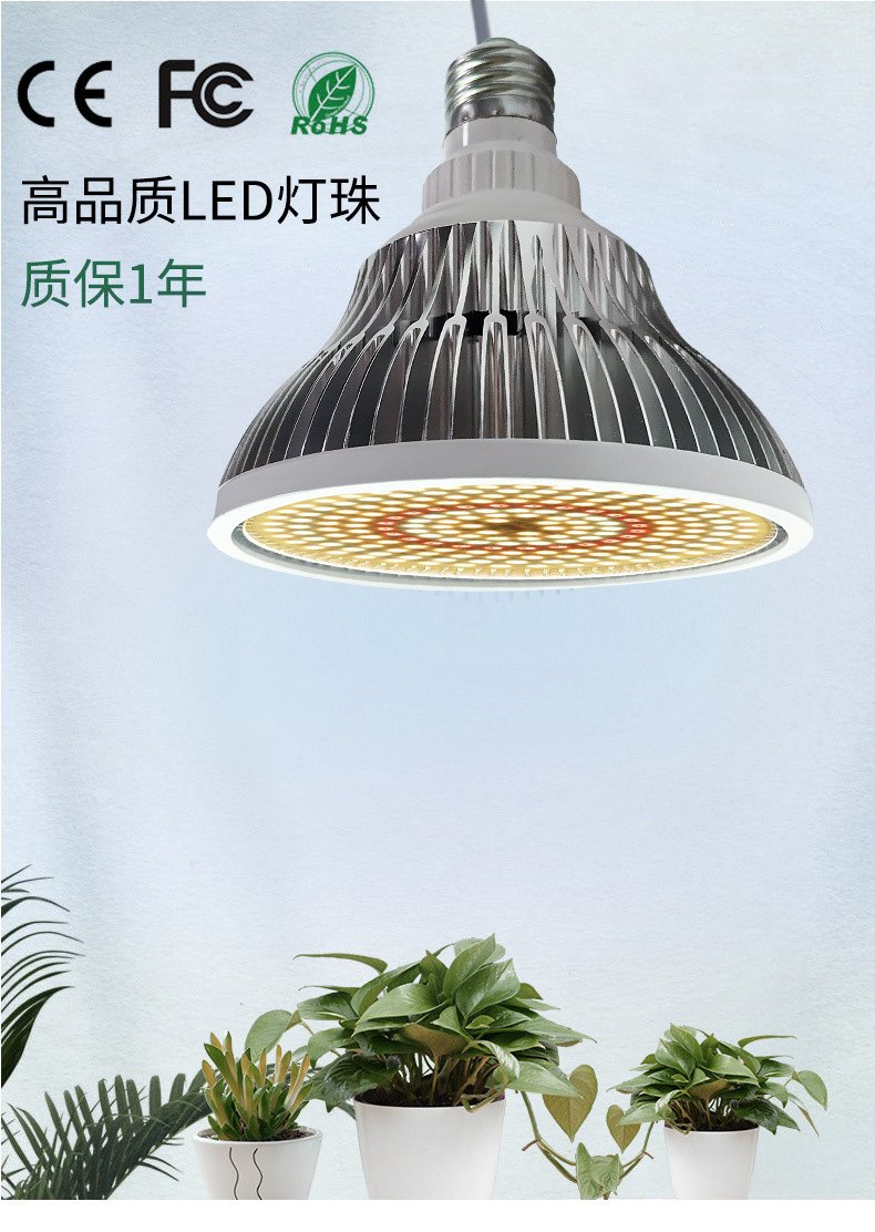 200-LED(带罩)_01