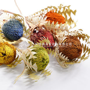 [Australia Buckwood] spherical pagoda Eternal Flowers natural bouquet wedding living room ornaments diy dried flowers wholesale