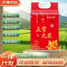 2025��|���خa�峣���׮�������һ�����l���]�������b�S�����l