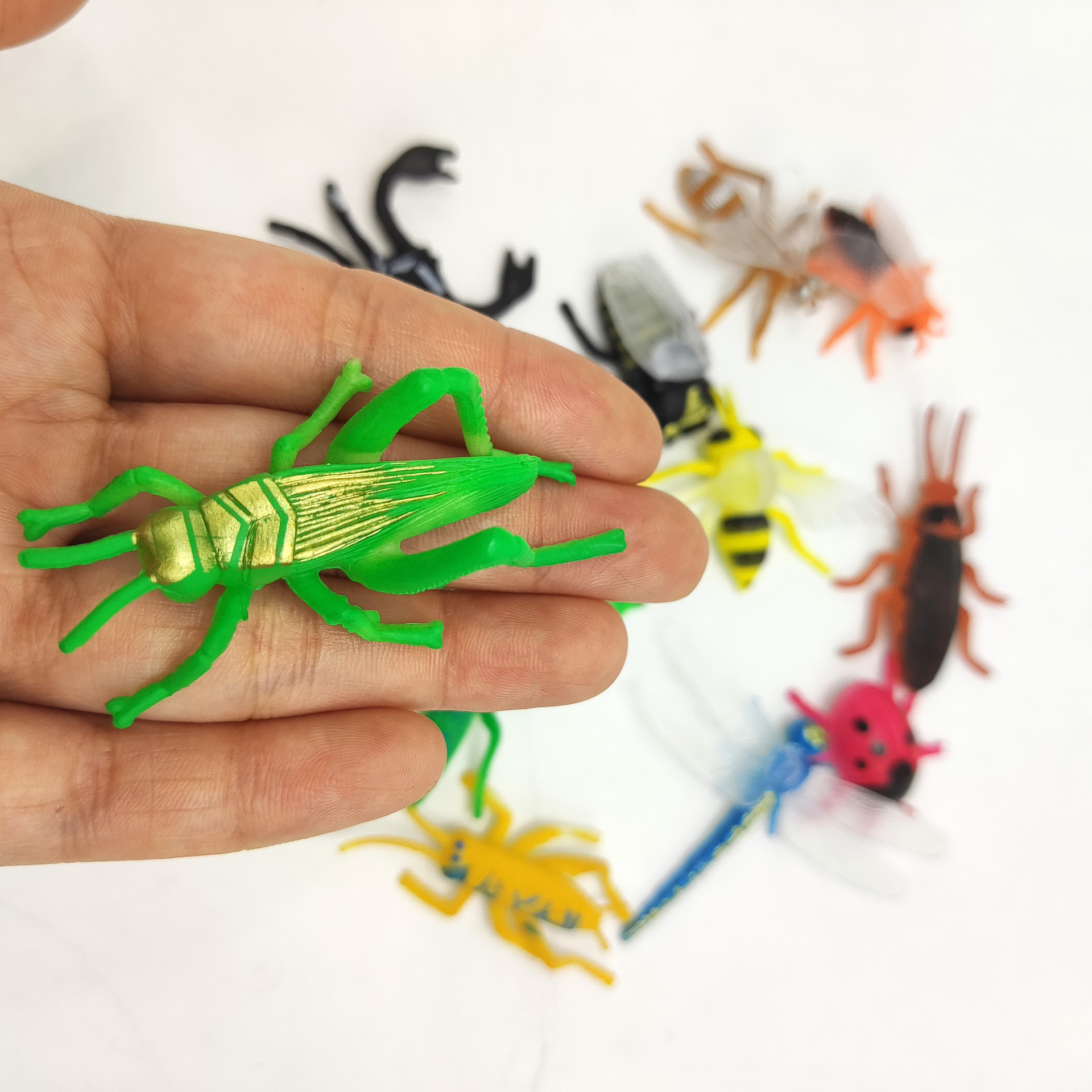 迷你昆虫详情图