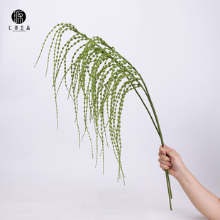 ���Sֱ�N ����ֲ������Gѿ�L��֦���l��횲� ���l�ͻ��Ĳ廨�쾰