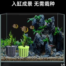 �����~��ˮ��ֲ�@�쾰�b��B�����̸ܹ���ˮ����׹̶���