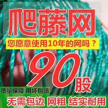 ֲ�����پW��Ԯ�W�@ˇ��ܾW�Ϲ��z�Ͽ���¼��������������Nֲ�W