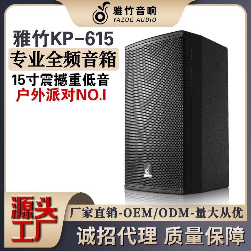 Al por mayor personalizado 15 pulgadas pasiva profesional etapa altavoz al aire libre boda bar rendimiento familia KTV audio traje