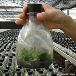 ���z���������^ˮ������Ƥ�F����ԇ���F�����ο��p�׌�����