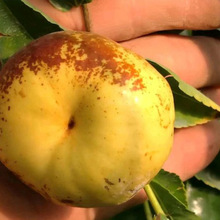 ��zС�����ԷNմ��������޽ӹ����ϱ�������ͥԺ����Y������