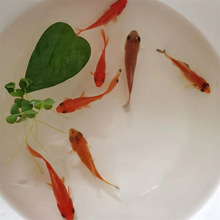 ���~���\��С���~���^�p�~�ͻˮ����~������B���B��ؔ��ˮ