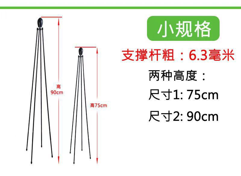 微信图片_202205291128516