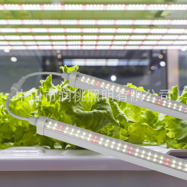 LED plant lamp