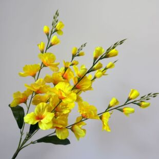 5�愦�m ���滨���m�� �����m �����Ҿӻ�c���ŵ����b����Q���l