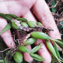 �F��ʯ�ϙ����r�p�~��С��500gʯ���ҹ����~�����Ҝ��aƷ���ϰ��]