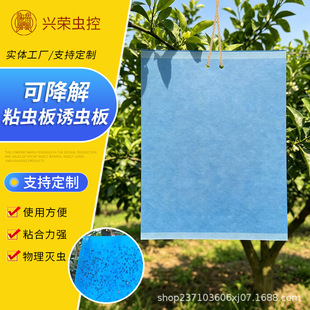 ճ�x���S���{����@��ω�w�ò�׽�N������Gֲ�nω�x���T��ճ�x�N