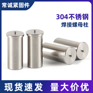 304���P䓺������� �c����ĸ ���ݼy�N����ñ  ���ܺ����ݽz ؛ȫ