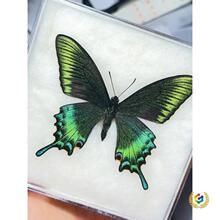 ������˱�չ������[������W��diy���x�������˹����նY����b