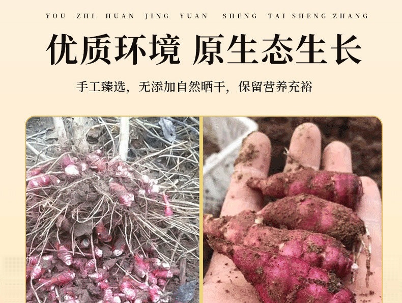 Yidao Guo Natural Dried Jerusalem Artichoke Root Tea 1000g Traditional Herbal Infusion specifications