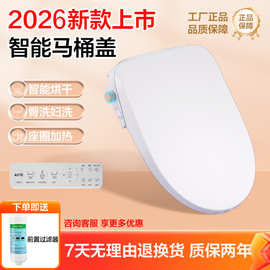 跨境新款智能马桶盖工厂即热恒温座圈家用马桶盖智能马桶远程遥控