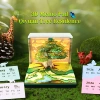 Wonder Tree House with light 2026 weekly calendar (English)