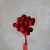 Deep red (a bunch of 20 pieces)