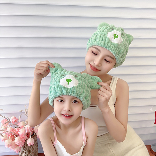 Hair dryer cap wholesale coral velvet cartoon bear absorbent hair dryer cap parent-child absorbent shower cap drop shipping