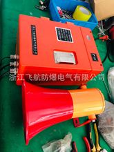 矿用调度机 防爆电话机 煤矿直通防爆电话站