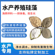 水产养殖硅藻复合硅藻种鱼塘肥水培藻绿水原料海参饲料硅藻精粉