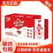 批发批发新日期 银鹭花生牛奶营养250ml*16/24盒早餐饮品蛋白包邮