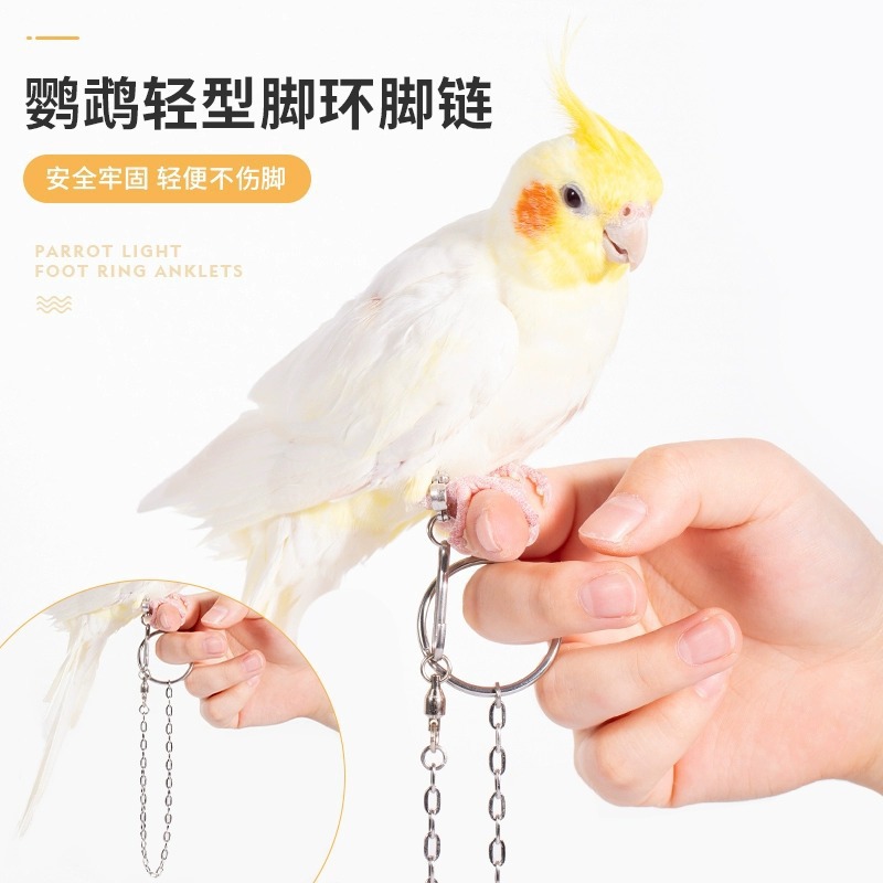 Stainless Steel Parrot Foot Chain, Bird Chain, Open Ring Foot Chain, Myna Foot Chain Buckle, Bird Tethering Supplies That Do Not Hurt the Feet
