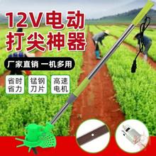 农用电动打尖机果树葡萄掐尖器辣椒荔枝枣树去顶机伸缩加长打尖器