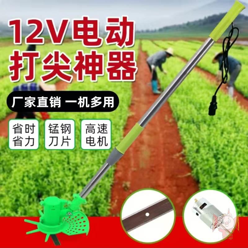 农用电动打尖机果树葡萄掐尖器辣椒荔枝枣树去顶机伸缩加长打尖器