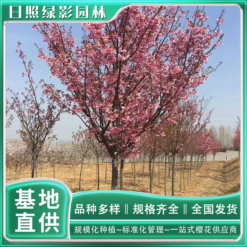 14343879923299837328 副本.jpg