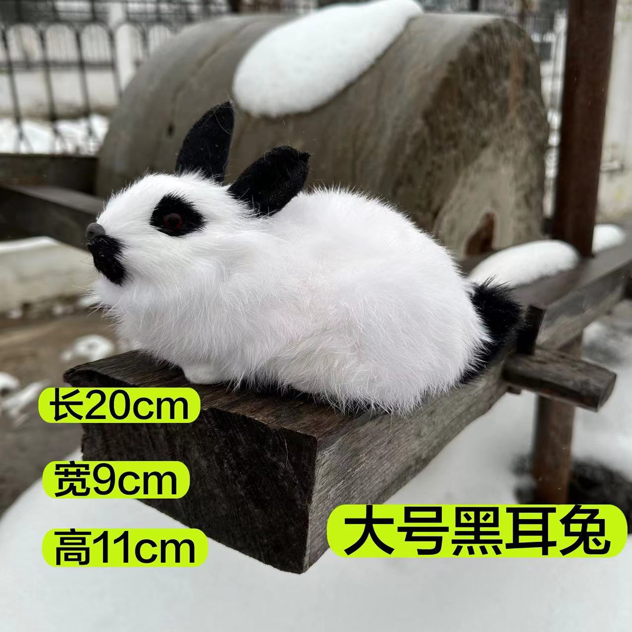 微信图片_20231213170148