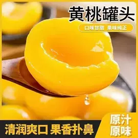 膨化;其他休闲食品;水果罐头